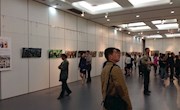 欣赏艺术作品  领略艺术精华