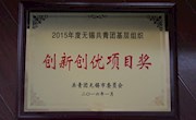 我院团委被授予“2015年度无锡共青团基层组织创新创优项目奖”