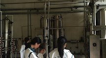 文化创意系药物制剂51401班制药厂见习