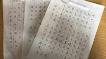 书画人生 精彩丰呈