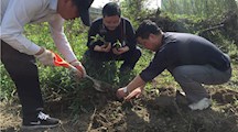 让我们的教育事业和春天的禾苗一起茁壮成长