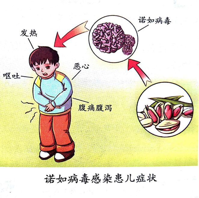 26f******881e47dc816bda0298e871c8.png