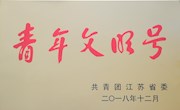 我院文化创意系动漫与设计教研组喜获江苏省“青年文明号”