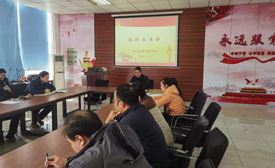 电气工程系党支部召开组织生活会和民主评议党员会议