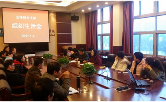 东降综合支部顺利开展专题组织生活会活动