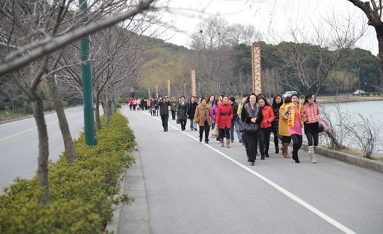 玫瑰绽放书写美丽人生