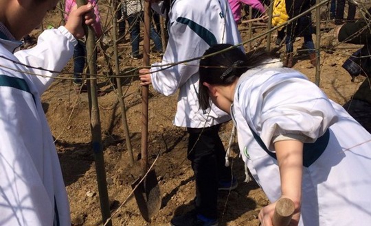 春风绿沃野  万物换新颜