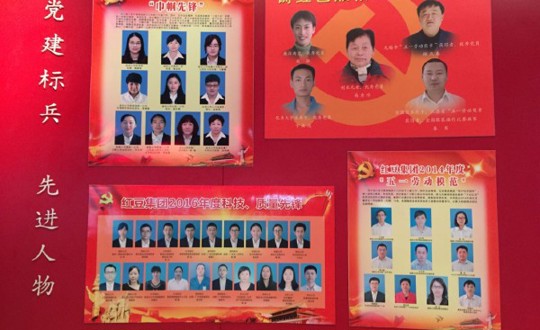 丰富“两学一做”活动，促进爱岗敬业发挥