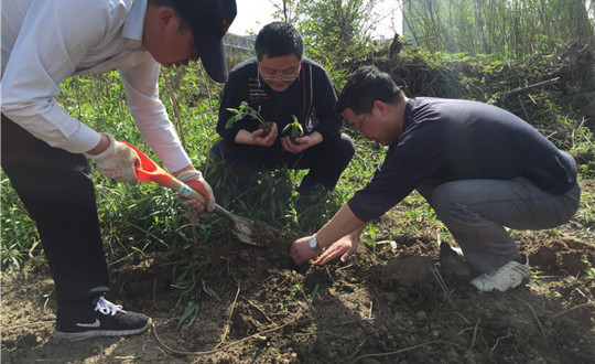 让我们的教育事业和春天的禾苗一起茁壮成长