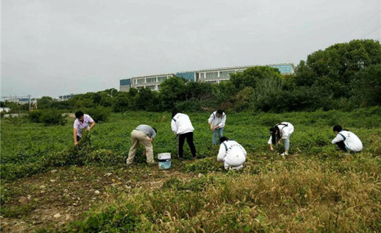 加强党团建设 共筑爱心文创