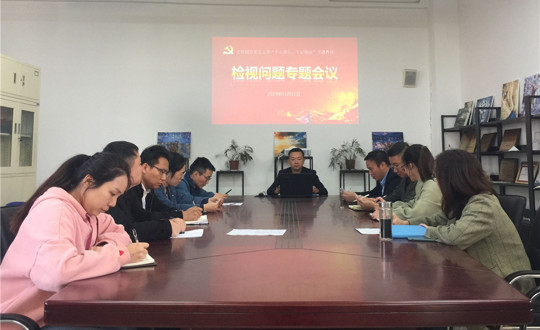 文化创意系党支部组织召开主题教育检视问题专题会议